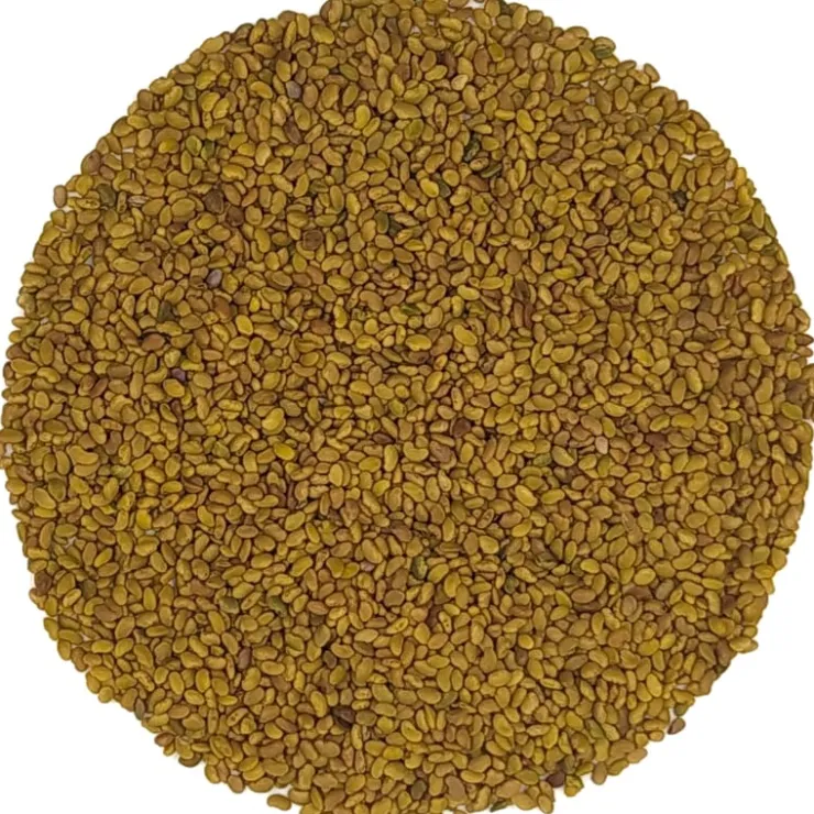 Alfalfa kiemzaden bio<Pit&Pit Best Sale