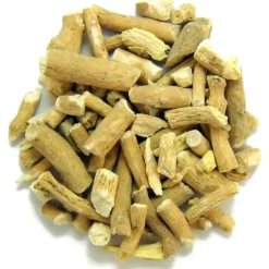 Ashwaganda<Pit&Pit Hot
