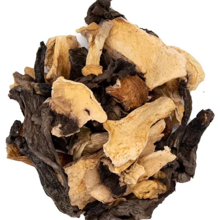 Bos en weide paddenstoelenmix<Pit&Pit Best