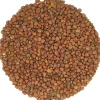China rose kiemzaden bio<Pit&Pit Best Sale