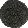 Chinese prei kiemzaden<Pit&Pit Discount