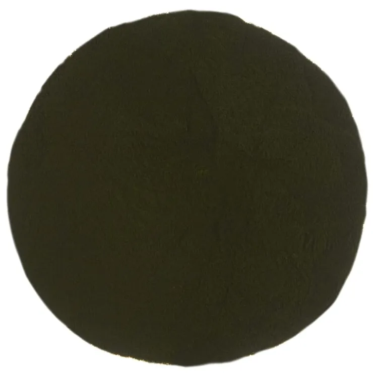 Chlorella poeder bio<Pit&Pit Store