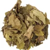 Curryblad<Pit&Pit Online