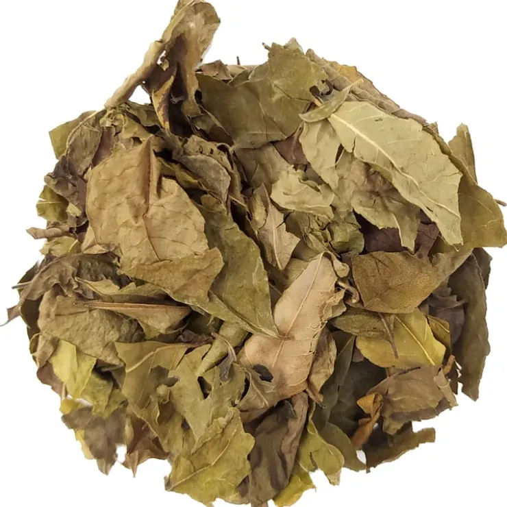 Curryblad<Pit&Pit Online