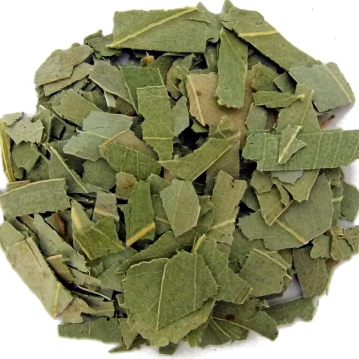 Eucalyptus bladeren<Pit&Pit Clearance
