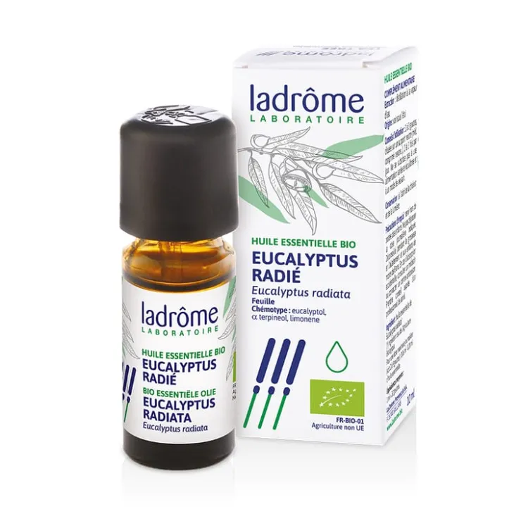 Eucalyptus radiata etherische olie LaDrome bio<Pit&Pit Outlet