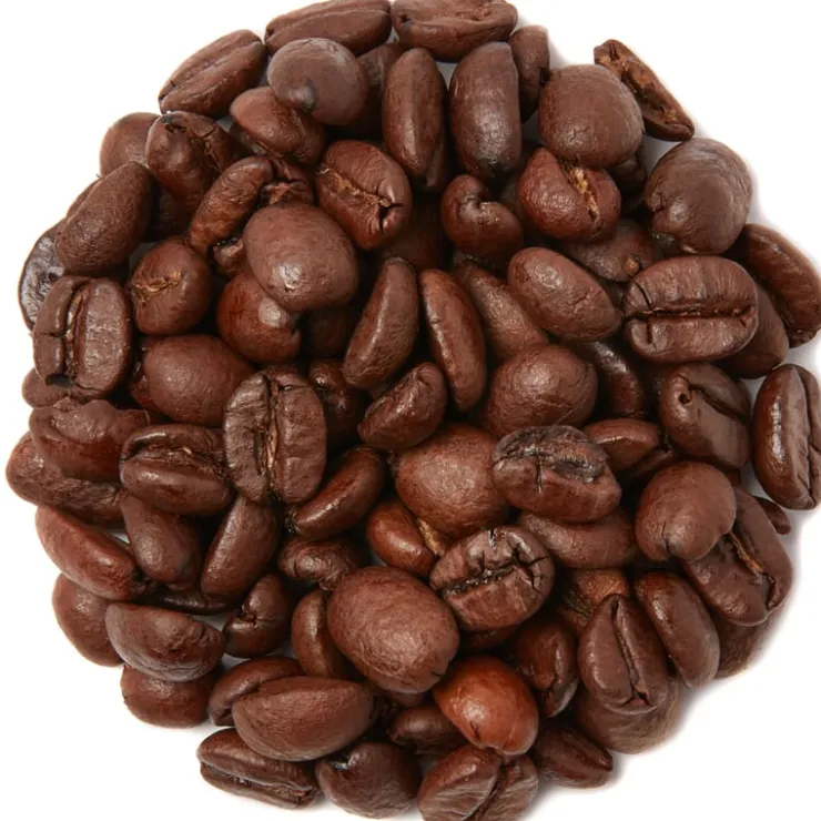 Forte Italiaanse koffie blend<Pit&Pit Best Sale
