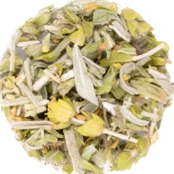Griekse bergthee bio<Pit&Pit Discount