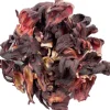 Hibiscus<Pit&Pit Best