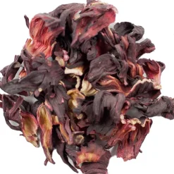 Hibiscus<Pit&Pit Best