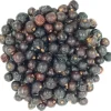 Jeneverbessen bio<Pit&Pit Hot