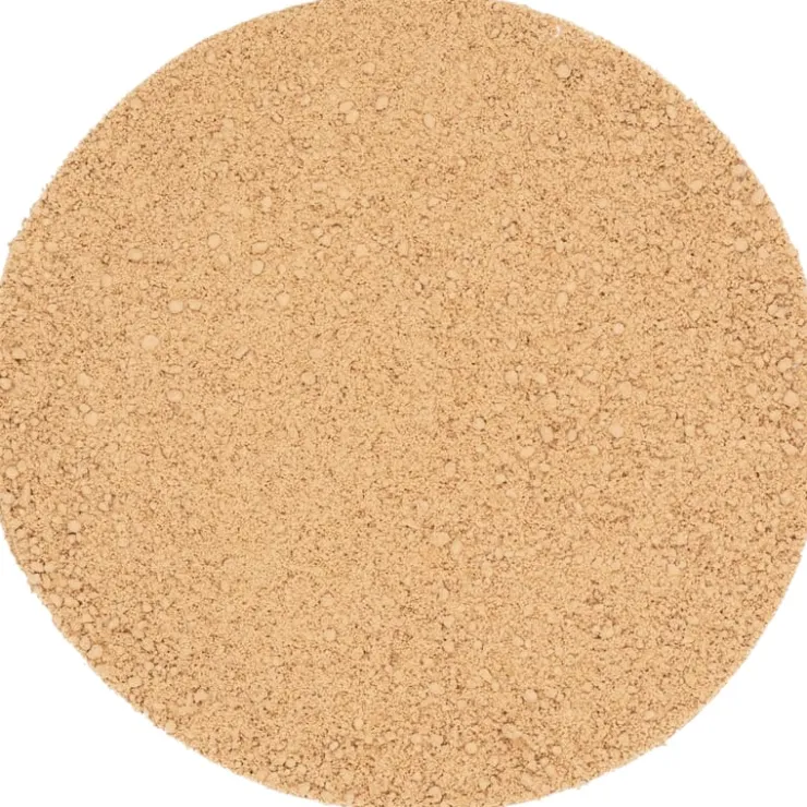 Maitake poeder bio<Pit&Pit Store