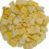 Mango stukjes gevriesdroogd<Pit&Pit Store