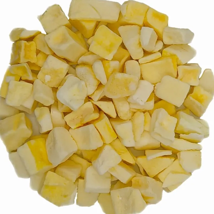 Mango stukjes gevriesdroogd<Pit&Pit Store