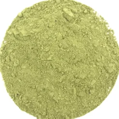 Matcha Taishan bio<Pit&Pit Discount