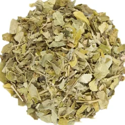 Moringa<Pit&Pit Cheap