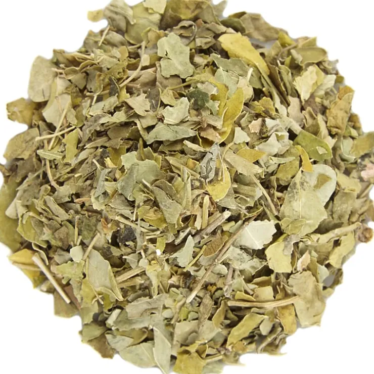Moringa<Pit&Pit Cheap