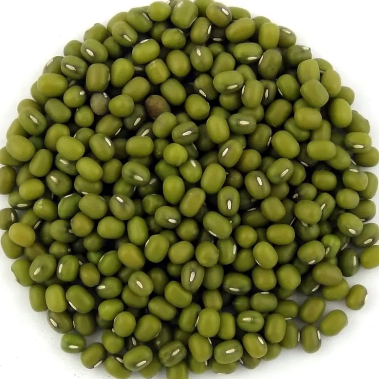 Mungbonen bio<Pit&Pit Cheap