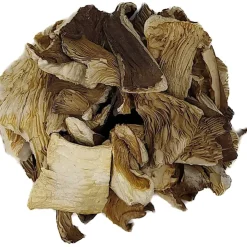 Oesterzwammen bio<Pit&Pit Online