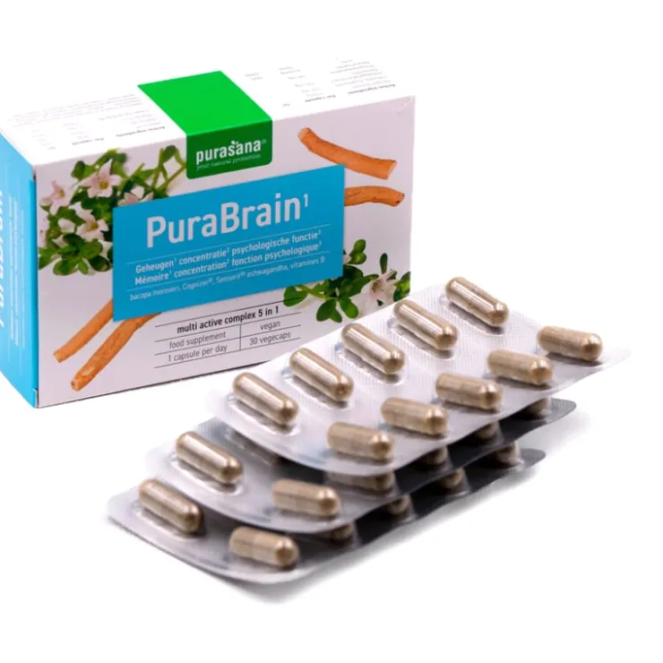 PuraBrain<Pit&Pit Hot