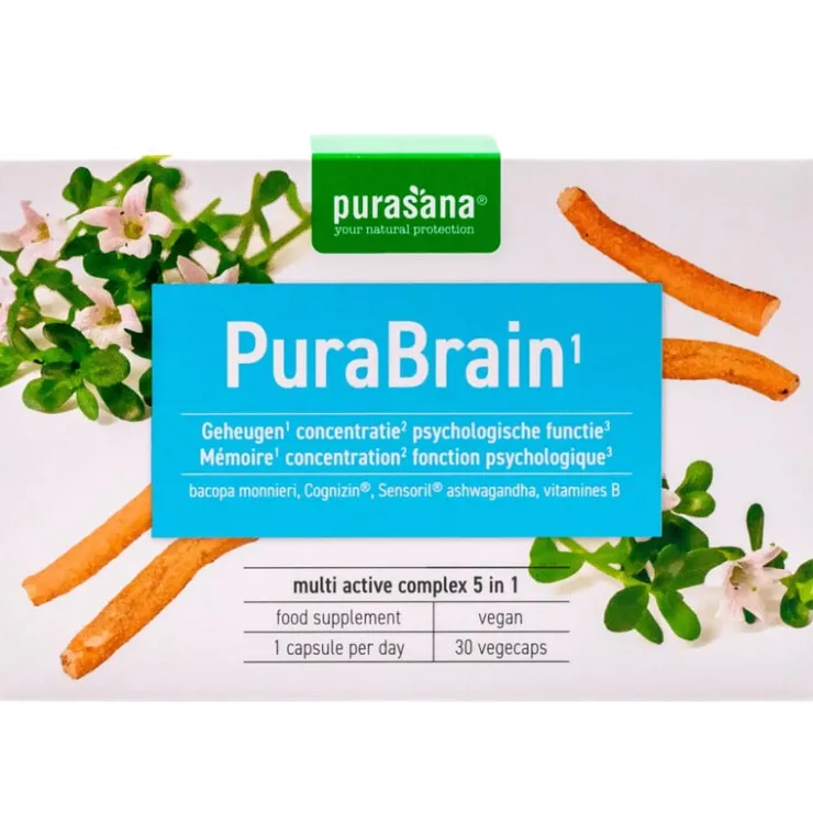 PuraBrain<Pit&Pit Hot