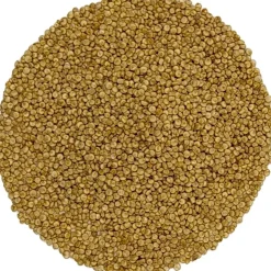 Quinoa uit België bio<Pit&Pit Store