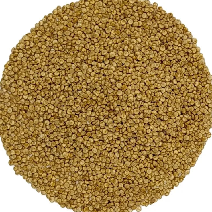 Quinoa uit België bio<Pit&Pit Store