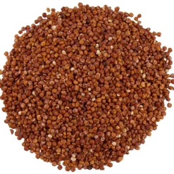 Rode quinoa bio<Pit&Pit Discount