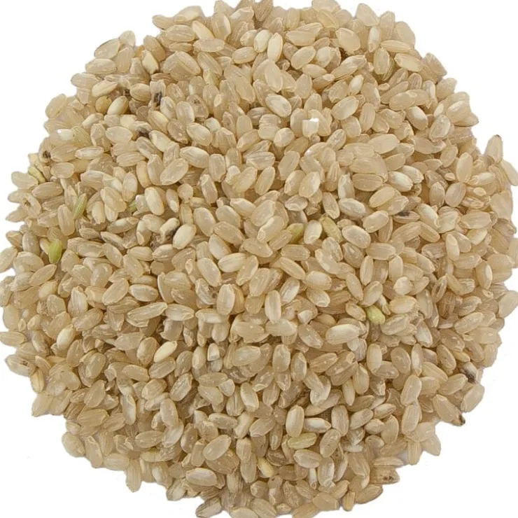 Ronde rijst volkoren bio<Pit&Pit New
