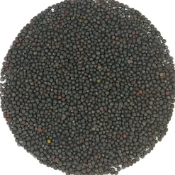 Rucola kiemzaden bio<Pit&Pit Sale