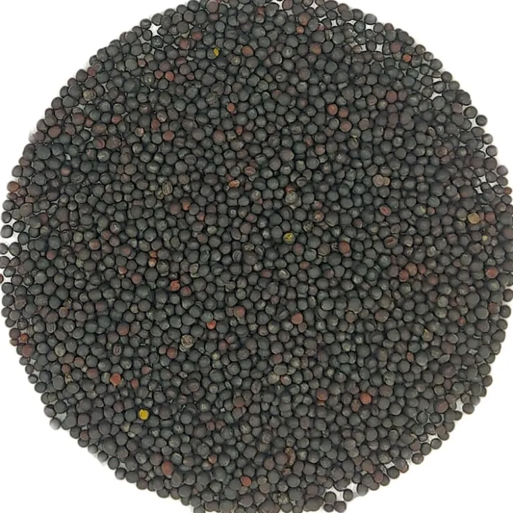 Rucola kiemzaden bio<Pit&Pit Sale