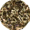 Tenderness groene thee bio<Pit&Pit Best Sale