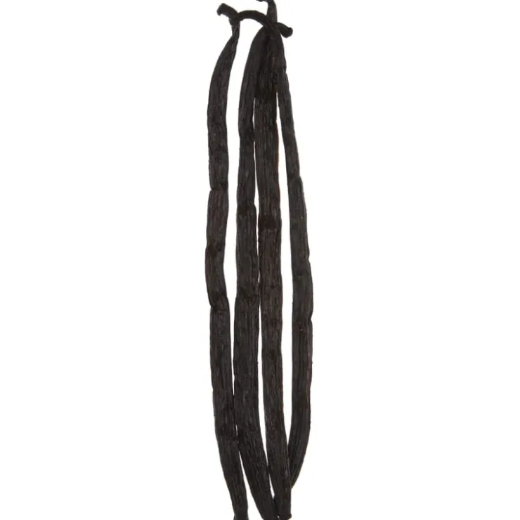 Vanillestokjes Bourbon<Pit&Pit Online