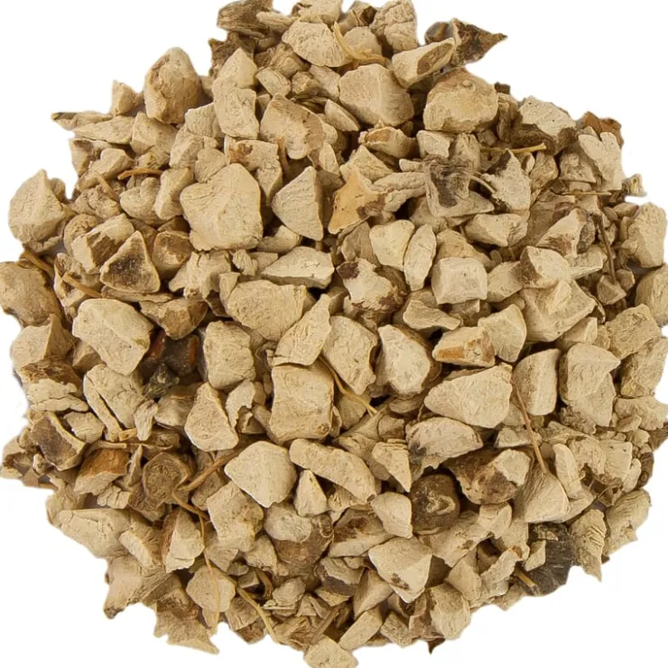 Wilde yam wortel<Pit&Pit Cheap
