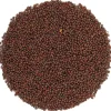 Zwart mosterdzaad bio<Pit&Pit Cheap