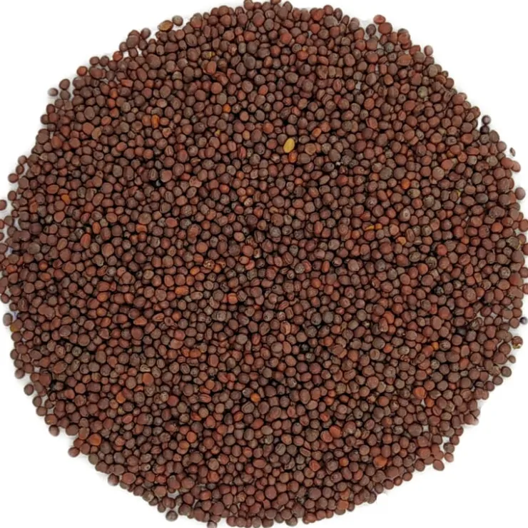 Zwart mosterdzaad bio<Pit&Pit Cheap